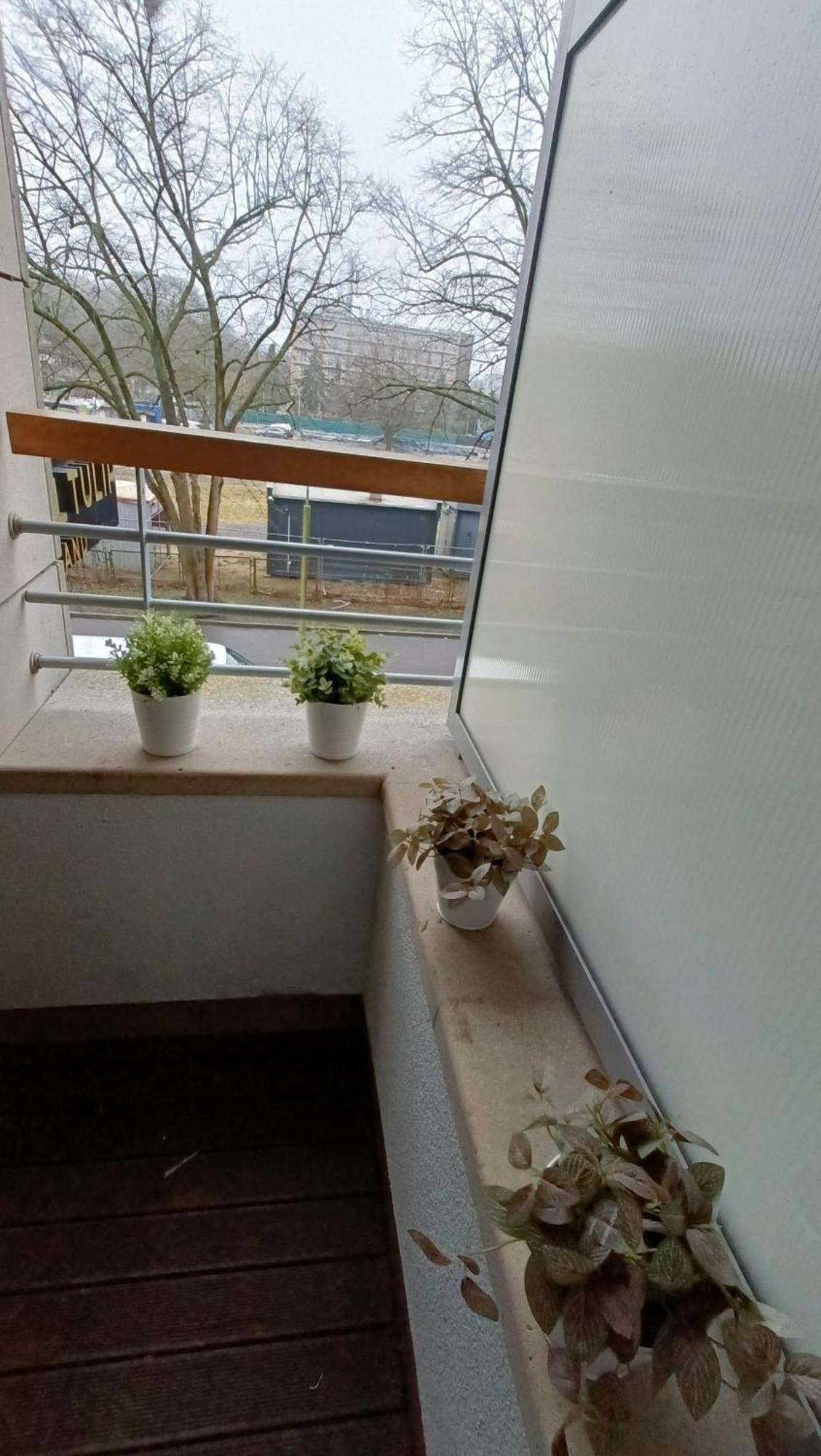 120 W 5 Gwiazdowym Royal Tulip Sand 200 M Od Plazy Dobruk Apartamenty Kołobrzeg Exterior foto